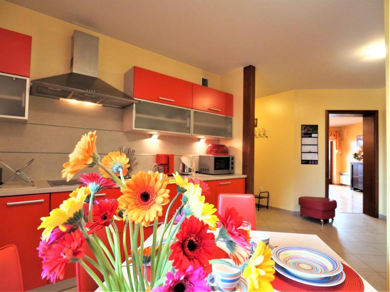 Apartament Widokowy Maki Apartment ซาโกปาเน ภายนอก รูปภาพ